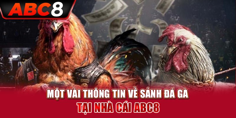 Đá gà Abc8 trực tuyến